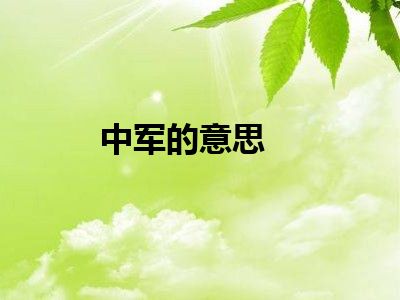 中军的意思