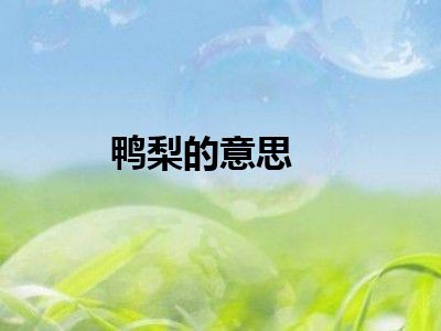 鸭梨的意思