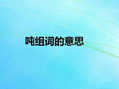 吨组词的意思