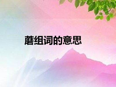 蘑组词的意思