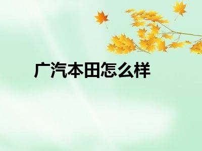 广汽本田怎么样