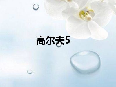 高尔夫5