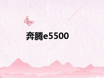 奔腾e5500