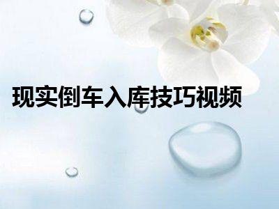 现实倒车入库技巧视频