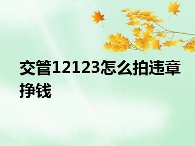 交管12123怎么拍违章挣钱