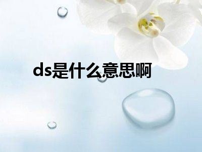 ds是什么意思啊