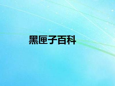 黑匣子百科