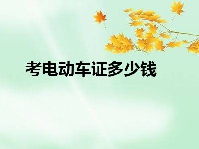 考电动车证多少钱