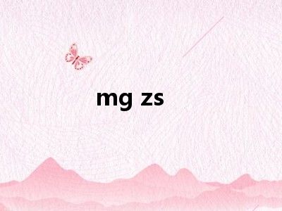 mg zs