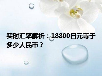 实时汇率解析：18800日元等于多少人民币？