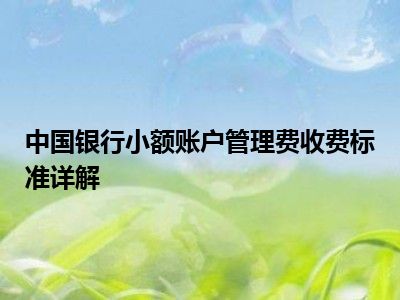 中国银行小额账户管理费收费标准详解