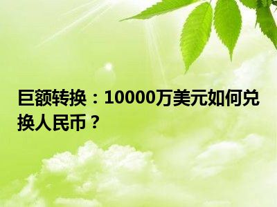 巨额转换：10000万美元如何兑换人民币？