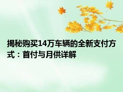 揭秘购买14万车辆的全新支付方式：首付与月供详解
