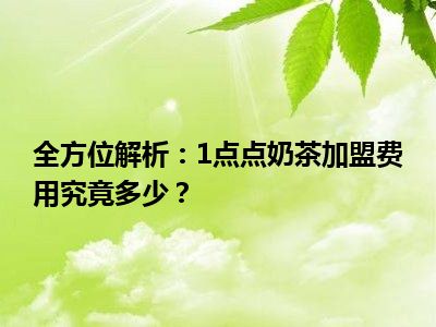 全方位解析：1点点奶茶加盟费用究竟多少？