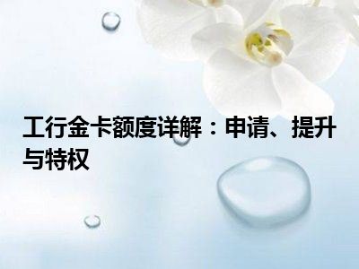 工行金卡额度详解：申请、提升与特权