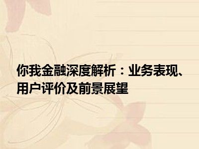 你我金融深度解析：业务表现、用户评价及前景展望