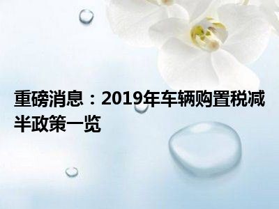重磅消息：2019年车辆购置税减半政策一览