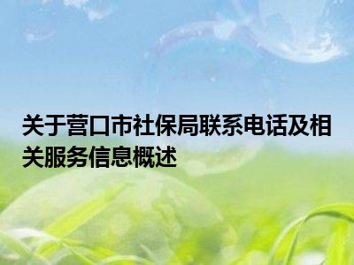 关于营口市社保局联系电话及相关服务信息概述
