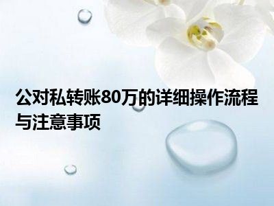 公对私转账80万的详细操作流程与注意事项