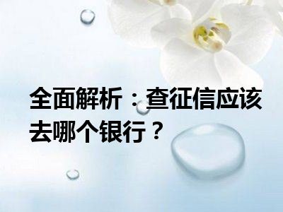 全面解析：查征信应该去哪个银行？