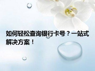 如何轻松查询银行卡号？一站式解决方案！
