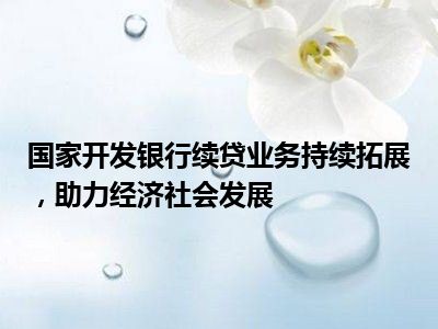 国家开发银行续贷业务持续拓展，助力经济社会发展