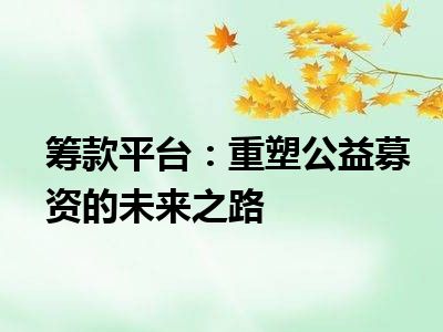 筹款平台：重塑公益募资的未来之路