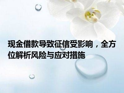 现金借款导致征信受影响，全方位解析风险与应对措施