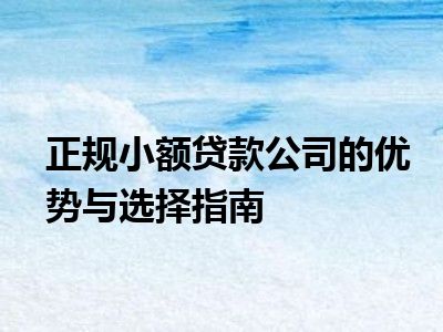 正规小额贷款公司的优势与选择指南