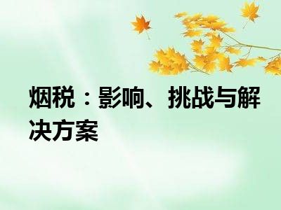 烟税：影响、挑战与解决方案