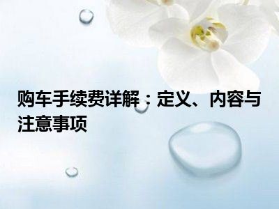 购车手续费详解：定义、内容与注意事项