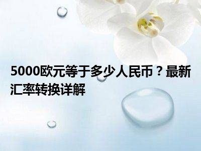 5000欧元等于多少人民币？最新汇率转换详解