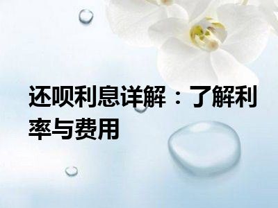 还呗利息详解：了解利率与费用