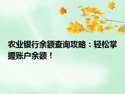 农业银行余额查询攻略：轻松掌握账户余额！