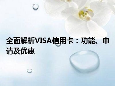 全面解析VISA信用卡：功能、申请及优惠