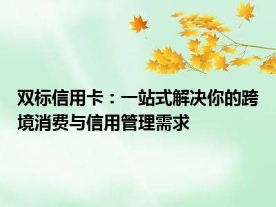 双标信用卡：一站式解决你的跨境消费与信用管理需求