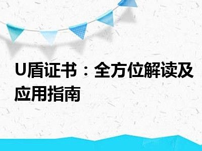 U盾证书：全方位解读及应用指南
