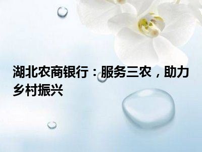 湖北农商银行：服务三农，助力乡村振兴