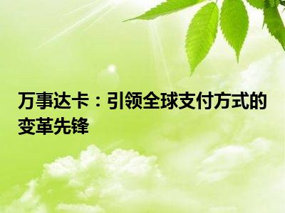 万事达卡：引领全球支付方式的变革先锋