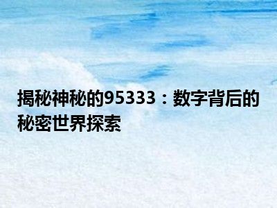 揭秘神秘的95333：数字背后的秘密世界探索