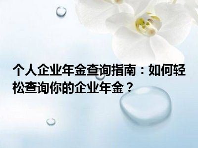 个人企业年金查询指南：如何轻松查询你的企业年金？