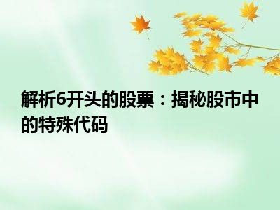 解析6开头的股票：揭秘股市中的特殊代码