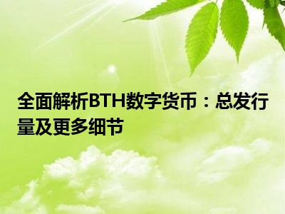 全面解析BTH数字货币：总发行量及更多细节