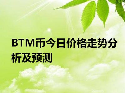 BTM币今日价格走势分析及预测