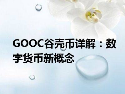 GOOC谷壳币详解：数字货币新概念