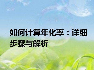 如何计算年化率：详细步骤与解析