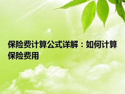 保险费计算公式详解：如何计算保险费用