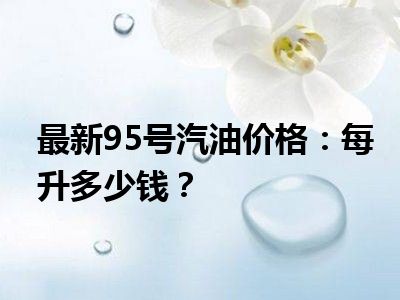 最新95号汽油价格：每升多少钱？
