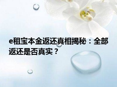 e租宝本金返还真相揭秘：全部返还是否真实？