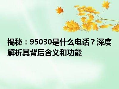 揭秘：95030是什么电话？深度解析其背后含义和功能